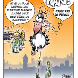 Emma dessin de presse 4