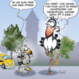 Emma dessin de presse 3