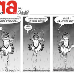 BD Emma la cigogne 13