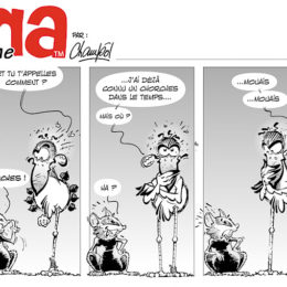 BD Emma la cigogne 20