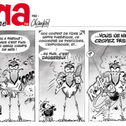 BD Emma la cigogne 22