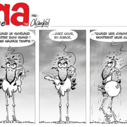 BD Emma la cigogne 26