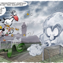 Illustration Huningue, foot