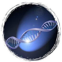 Illustration symbole adn