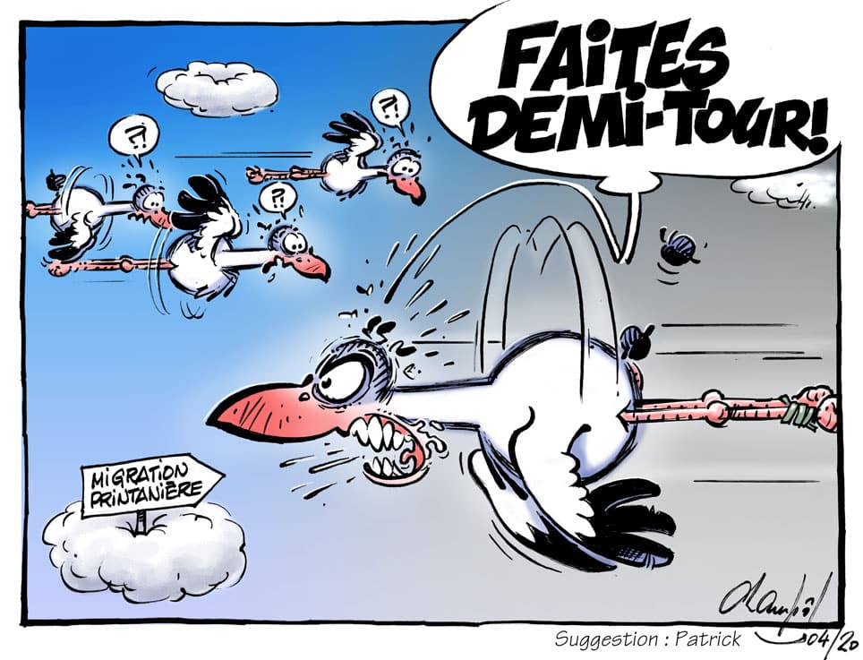 Pandémie Corona virus, Emma migration