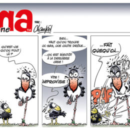Emma strip 61