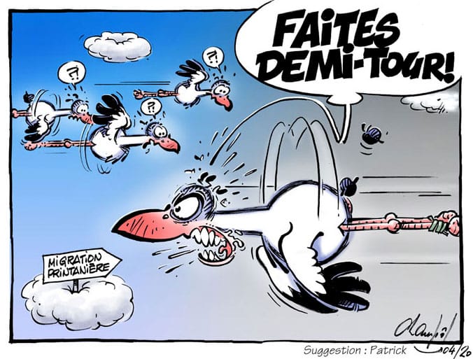 Emma remigre à cause du confinement